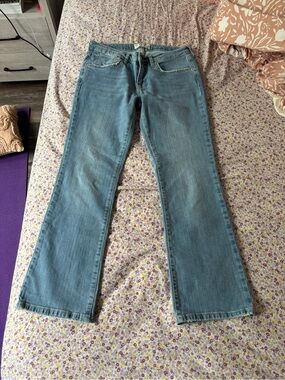 Free People Light Blue Flare Jeans